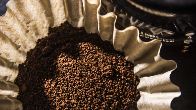 Coffee grounds in coffee filter