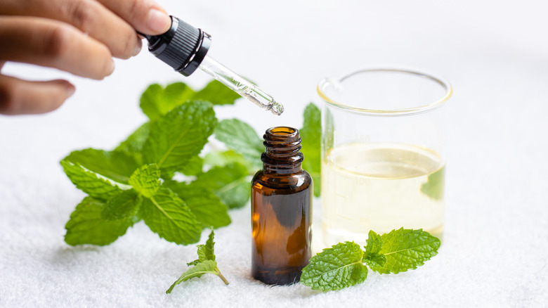 Peppermint essential oil and peppermint leaves