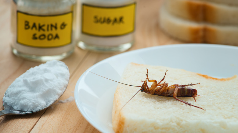 dead roach baking soda sugar