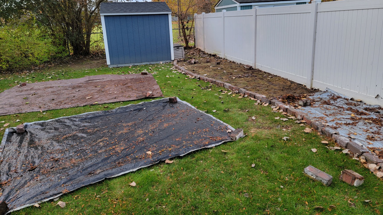 lawn being smothered by tarps