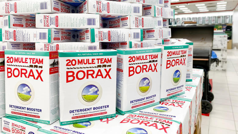 borax 20 mule team store