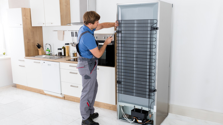 person checking compressor fridge refrigerator