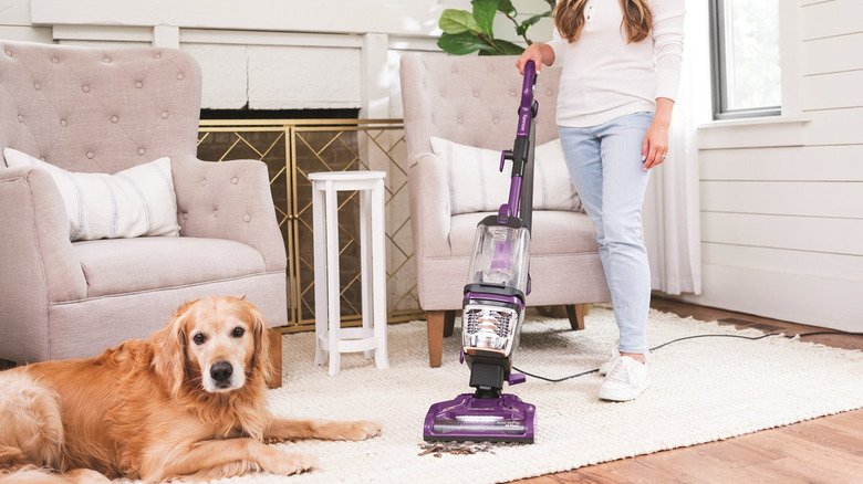 Woman cleaning carpet with a purple kenmore vacuum next to a dog