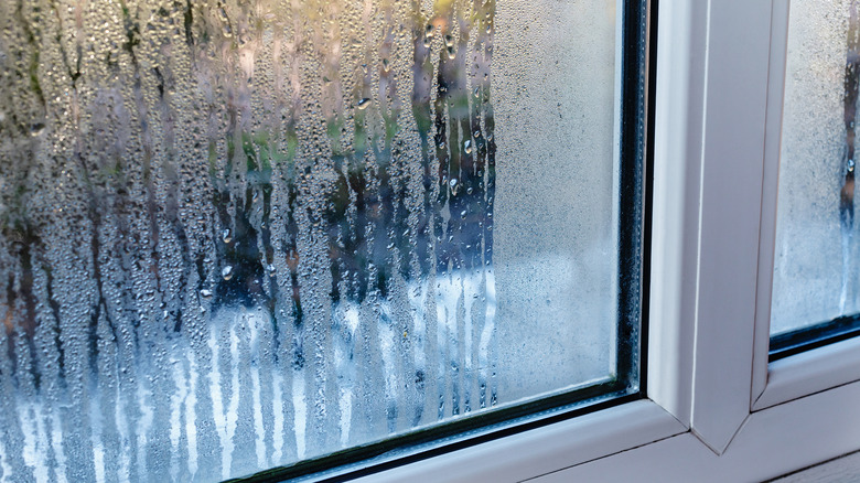 Window with condensation on glass