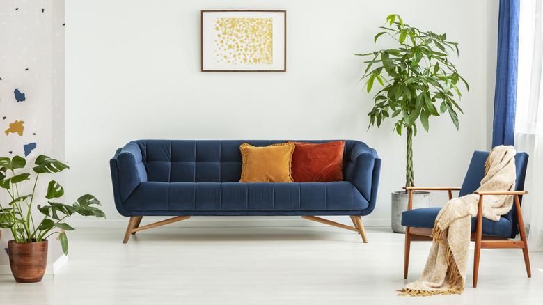 cheap looking midcentury modern furniture with plants and art