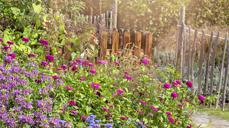 natural cottage-style garden