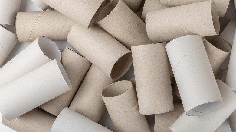 Pile of empty toilet paper rolls