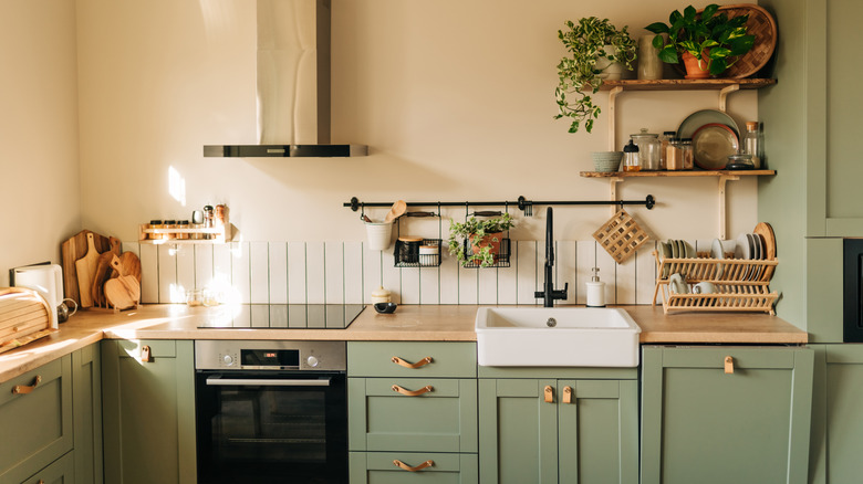 stylish new painted green kitchen cabinets