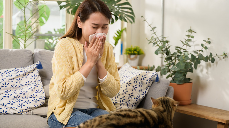 Young woman sneezing in home near plants and cat