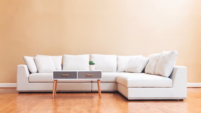 white sectional sofa with coffee table and cactus