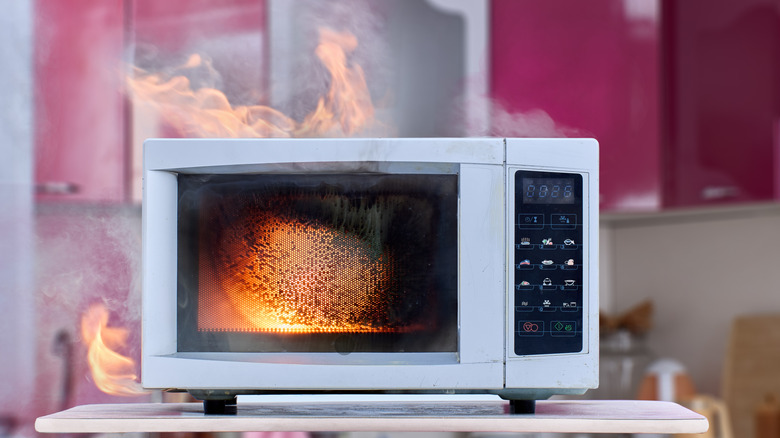 Microwave smoking and on fire