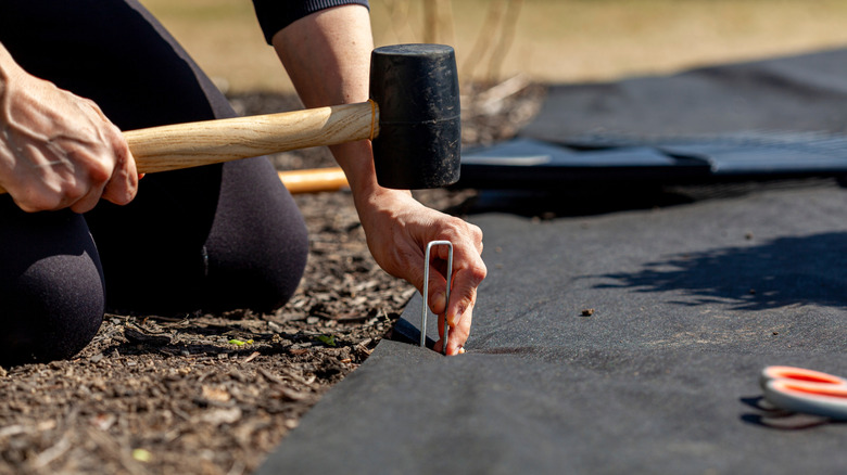 Person installing landscape fabric