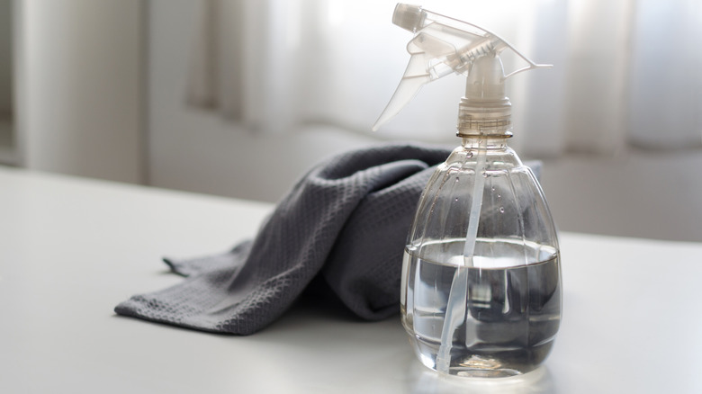 Spray bottle with vinegar