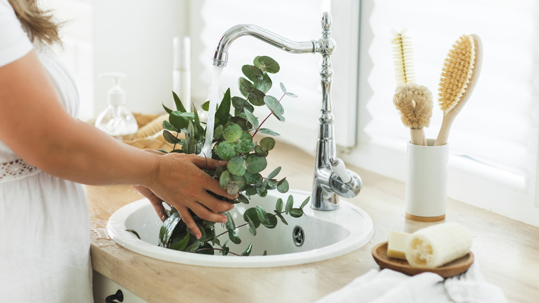 woman at sink with eucalyptus