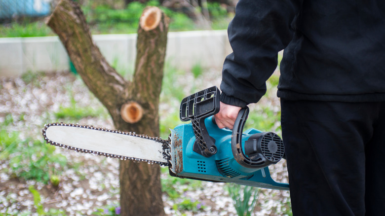 man cutting tree with chainsaw