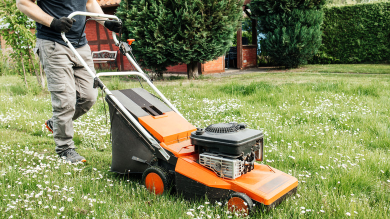 Man using electric lawn mower