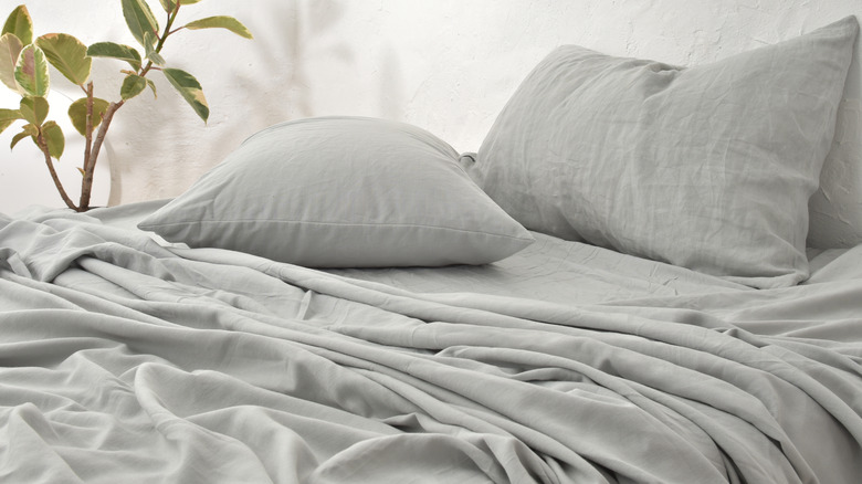 A set of gray bedsheets is undone and wrinkled, looking especially messy beside a plant.