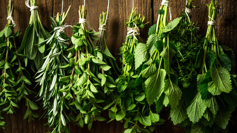 bundled herbs hanging in front of wooden background