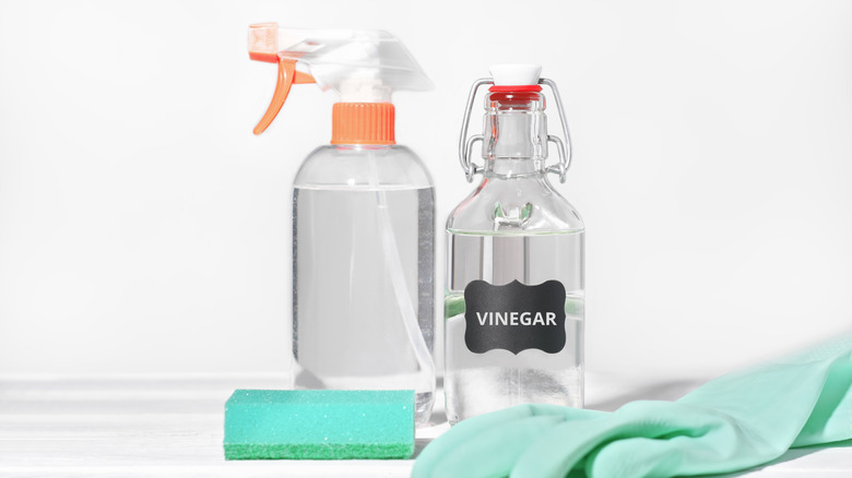 white vinegar in spray bottle with cleaning supplies