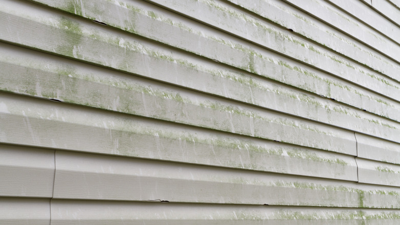 Siding before its cleaned