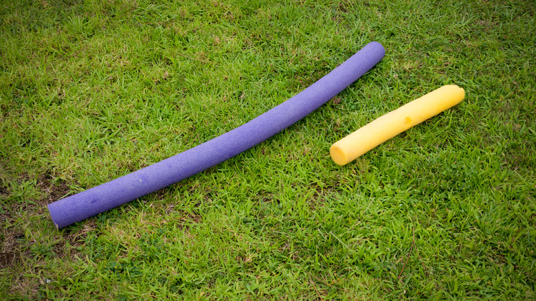 pool noodles on lawn