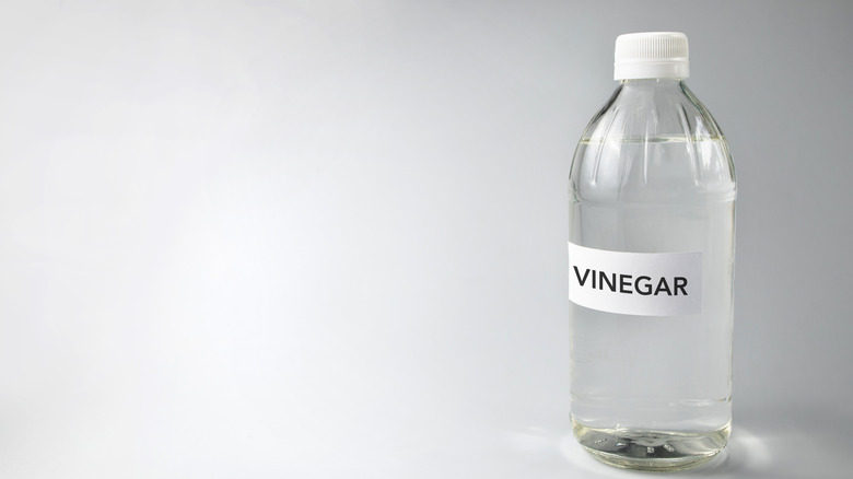 bottle of white vinegar