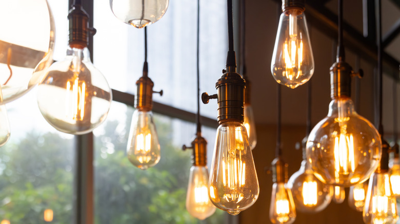 Exposed Edison bulbs of various shapes and sizes are clustereed together and hanging individually from black cord in front of a black metal window