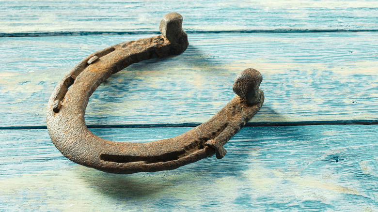 old horseshoe on blue wood table