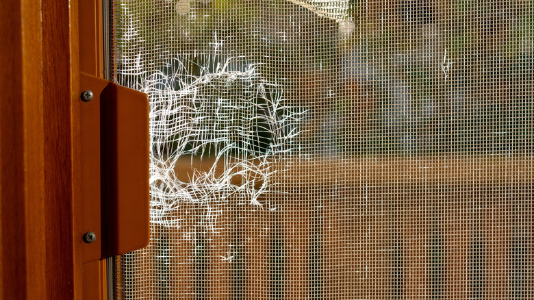 Closeup of torn window screen