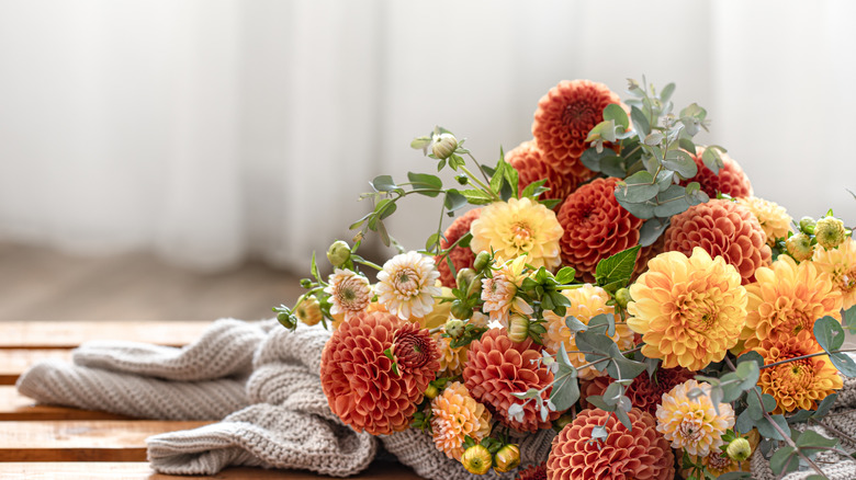 autumn-hued chrysanthemums on table