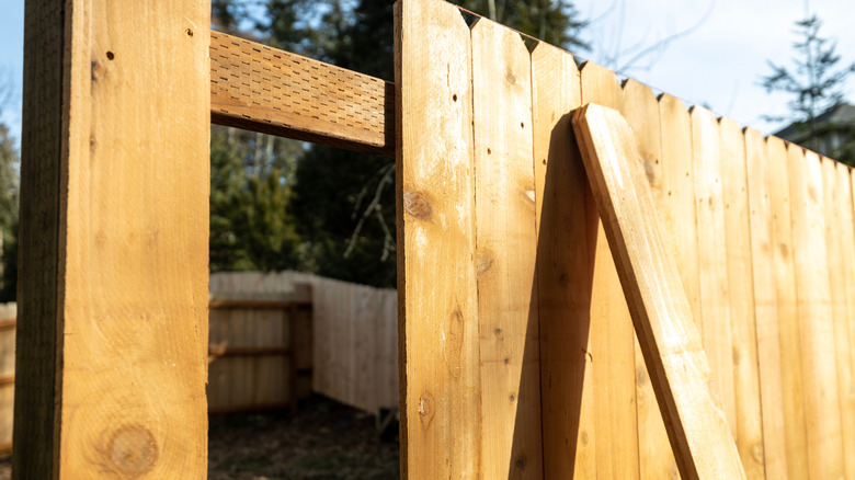 cedar fence not together yet