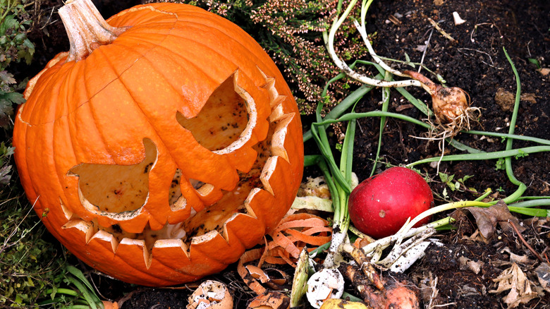 moldy Jack-O'-Lantern compost pile