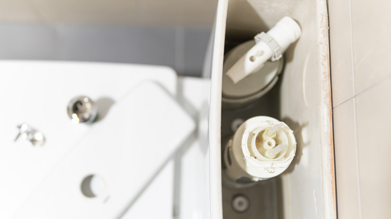 open toilet tank viewed from above