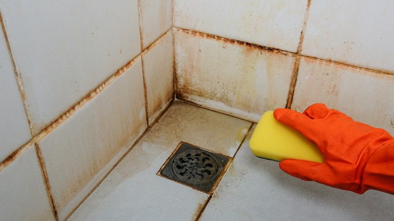 person wearing an orange glove and cleaning a dirty, rusty shower floor and walls with a yellow and green scrubber sponge