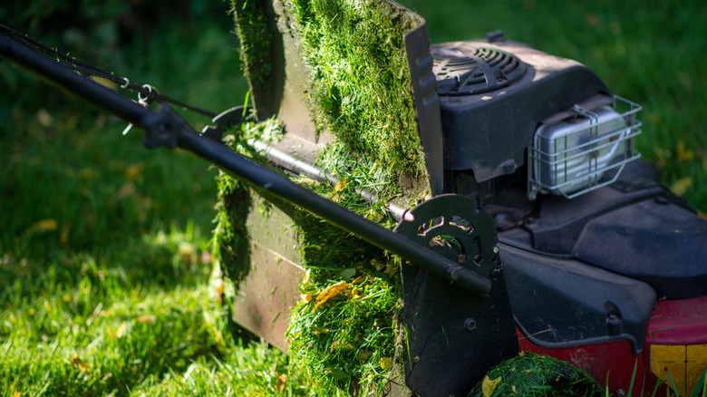 Lawn mower clogged with wet grass